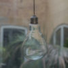 Hanging Glass Bulb - Image 2