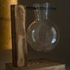 Propped Glass Vase - Image 5